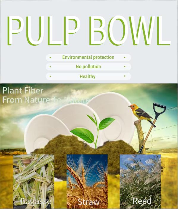 sugarcane bowl sugarcane bowl